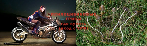 скорость Калининец