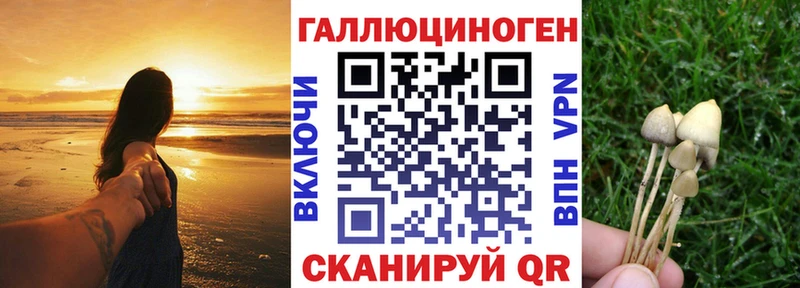 Галлюциногенные грибы мухоморы  Купить где  Пущино 